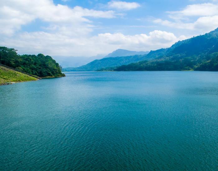 body of water surrounded by three trees